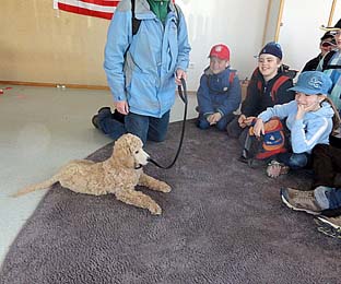 Berris erster Auftrag als P&auml;dagogik-Hund in einer Schulklasse